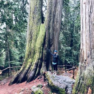 Meet your Posher, Alexa